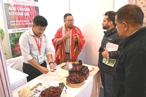 शिमला में GI महोत्सव,  पीटरहॉफ में देशभर के GI उत्पादों की प्रदर्शनी