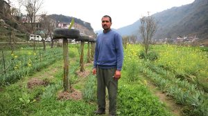 Except for Salt, He Buys Nothing: Inside a Himachal Farmer’s Experiment in Self-Reliance