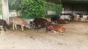 A Small move to Sustainable Movement