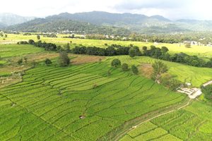 Himachal’s Seed Villages Model for Climate-Resilient Natural Farming